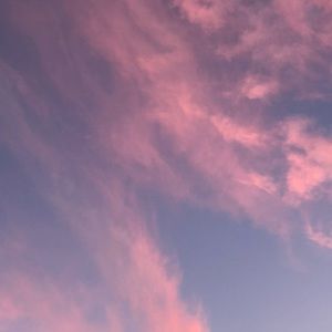 Meet your Posher, Jess